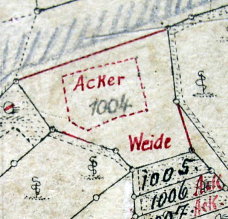 Ergänzungskarte zum Primärkataster Verrenberg 1833; Haus 67 - Staigenkelter
