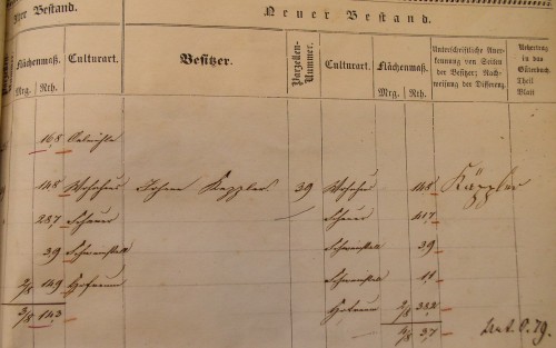 Nachtrag zum Primärkataster Verrenberg , 1850-52; Haus 39
