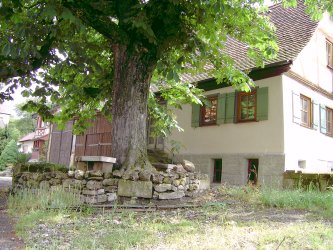 Haus Nr. 4 in Verrenberg